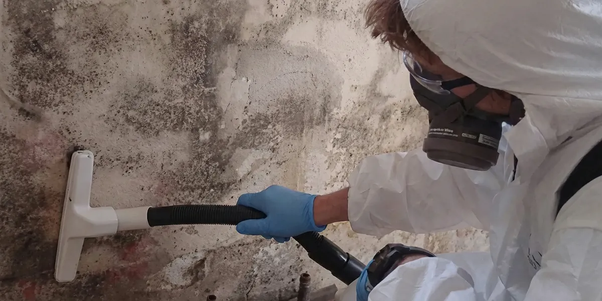 professional mold removal technician wearing protective equipment removing mold from a wall in Worcester, MA